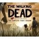 The Walking Dead Season 1 EU Steam CD Key