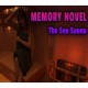 Memory Novel - The Sex Sauna Steam CD Key