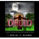 Project Druid - 2D Labyrinth Explorer- Steam CD Key