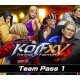 THE KING OF FIGHTERS XV - Team Pass 1 DLC EU PS4 CD Key