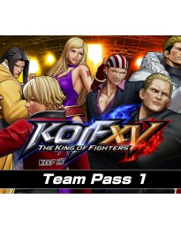 THE KING OF FIGHTERS XV - Team Pass 1 DLC EU PS5 CD Key