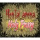 Hentai Arena Holy Pussy Steam CD Key