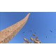 Realistic Tower Destruction Steam CD Key