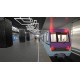 Metro Simulator - 'Oka' Liveries Pack DLC Steam CD Key