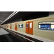 Metro Simulator - 'Oka' Liveries Pack DLC Steam CD Key