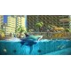 Hungry Shark World AR XBOX One CD Key