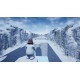 Snowman Adventure Steam CD Key
