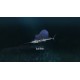 Ultimate Fishing Simulator - New Fish Species DLC PC Steam CD Key