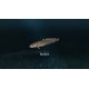Ultimate Fishing Simulator - New Fish Species DLC PC Steam CD Key