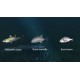 Ultimate Fishing Simulator - New Fish Species DLC PC Steam CD Key