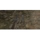 Dinosaur Hunt - Wild West Guns Expansion Pack DLC Steam CD Key