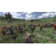 Mount & Blade: Warband - Viking Conquest Reforged Edition DLC PC Steam CD Key