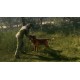 theHunter: Call of the Wild Starter Bundle Steam CD Key