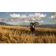 theHunter: Call of the Wild Diamond Bundle Steam CD Key