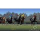 Winning Post 9 JP Steam CD Key