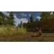 Real Farm - Gold Edition AR XBOX One CD Key