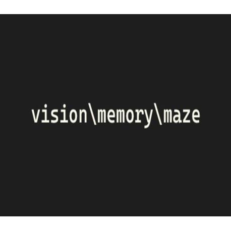 vision\memory\maze Steam CD Key