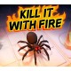 Kill It With Fire AR XBOX One / Xbox Series X|S CD Key