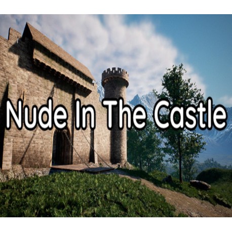 Nude In The Castle Steam CD Key