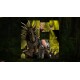 Adult Puzzles - Fantasy Ladies 2 Steam CD Key