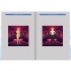 Hentai Jigsaw Girls - Artbook DLC Steam CD Key