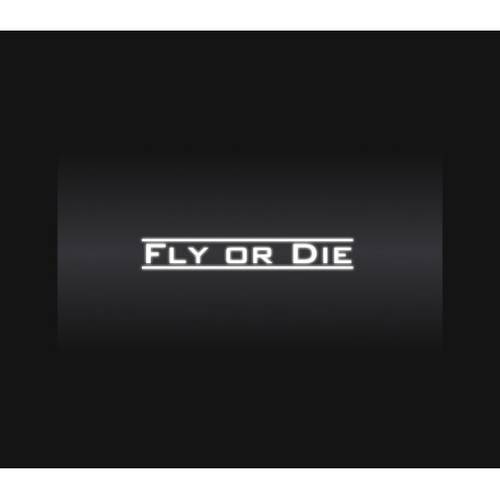 Fly Or Die Steam CD Key