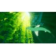 ABZU AR XBOX One / Xbox Series X|S CD Key