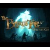The Bard's Tale IV: Director's Cut AR XBOX One CD Key