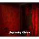 Squeaky Clean Steam CD Key