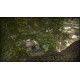 CastleGuard Steam CD Key