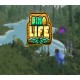 DinoLife Steam CD Key