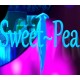 Sweet Pea Steam CD Key