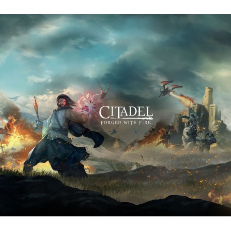 Citadel: Forged with Fire AR XBOX One CD Key