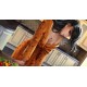 Cooks Girls Steam CD Key