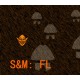 S&M: FL Steam CD Key