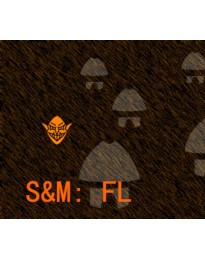 S&M: FL Steam CD Key