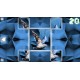 Poly Puzzle: Birds Steam CD Key