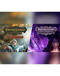 Pathfinder Collector’s Edition PC Steam CD Key