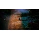 UNDETECTED Steam CD Key