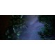 UNDETECTED Steam CD Key