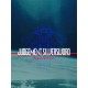 JUDGEMENT SILVERSWORD -Resurrection- PC Steam CD Key