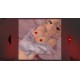Hentai Devil Puzzle Steam CD Key