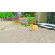 My Universe - Puppies & Kittens PC Steam CD Key