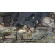 Disco Elysium - The Final Cut Steam Account