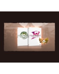 Guild Wars 2: Heart of Thorns & Path of Fire Digital Download CD Key