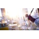 Mirror's Edge + Mirror's Edge Catalyst Bundle PC EA App CD Key