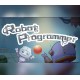 Robot Programmer Steam CD Key