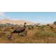 Planet Zoo - Grasslands Animal Pack DLC EU Steam CD Key