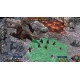 Medieval RPG Bundle Steam CD Key