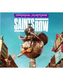 Saints Row: Criminal Customs Edition PC Epic Games CD Key